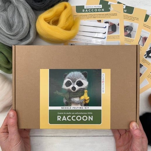Raccoon1