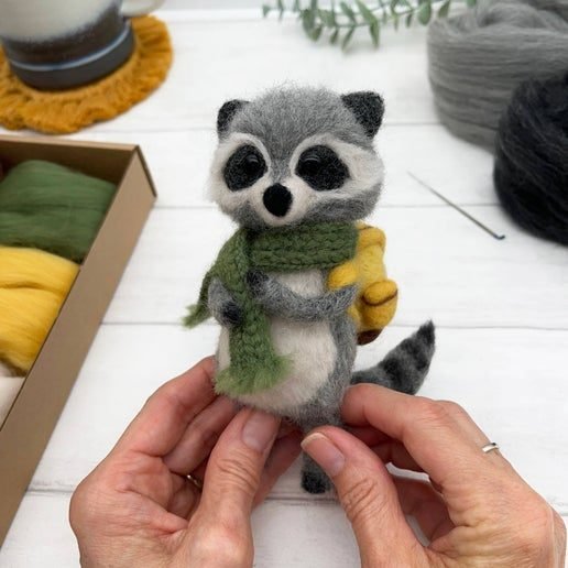 Raccoon2