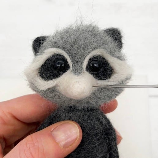 Raccoon3