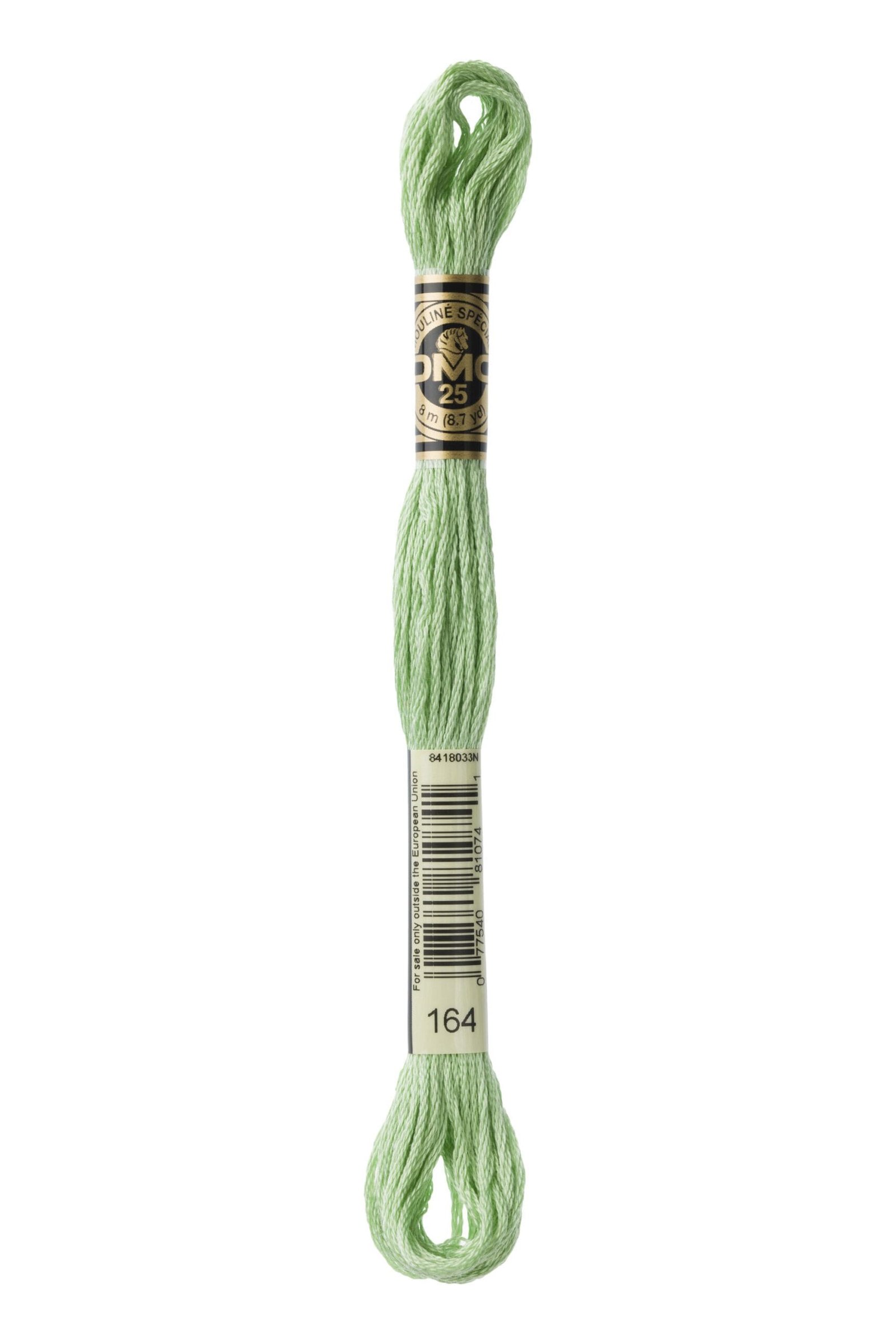 DMC Mouliné Special Cotton Thread 164 Light Forest Green