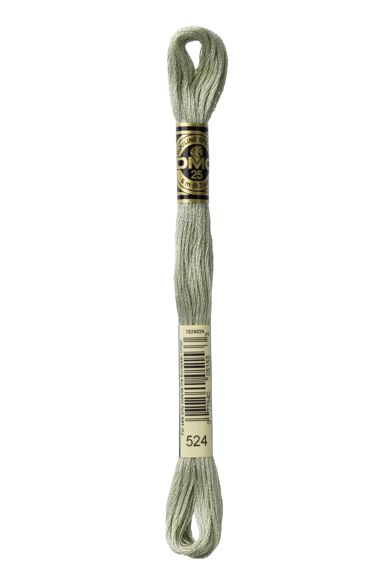DMC Mouliné Special Cotton Thread 524 Very Light Fern Green