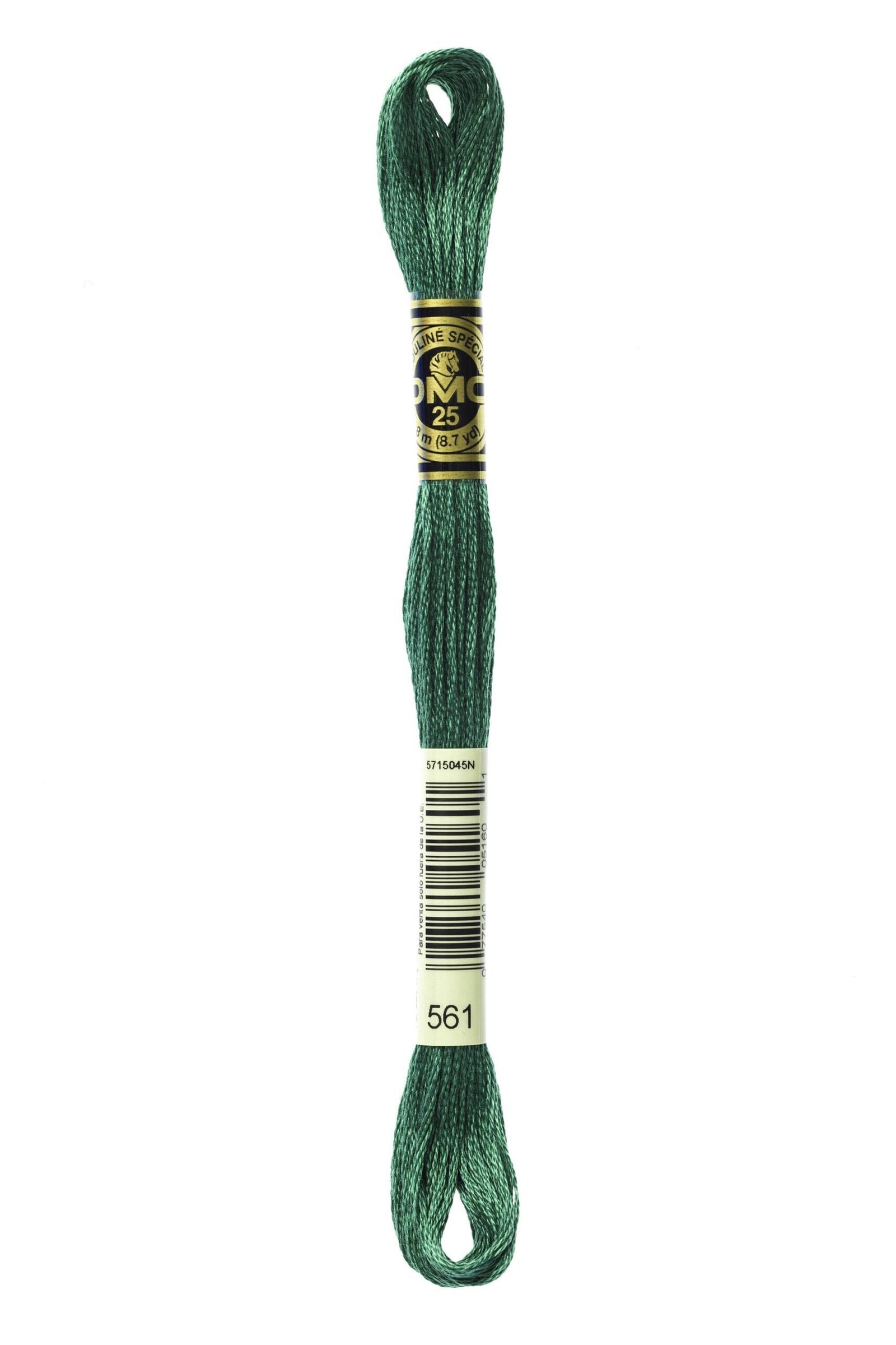 DMC Mouliné Special Cotton Thread 561 Very Dark Jade
