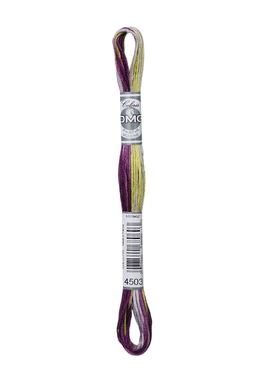 DMC Mouliné Coloris Cotton Thread 4503