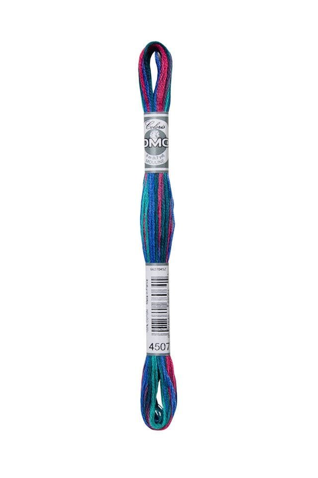 DMC Mouliné Coloris Cotton Thread 4507