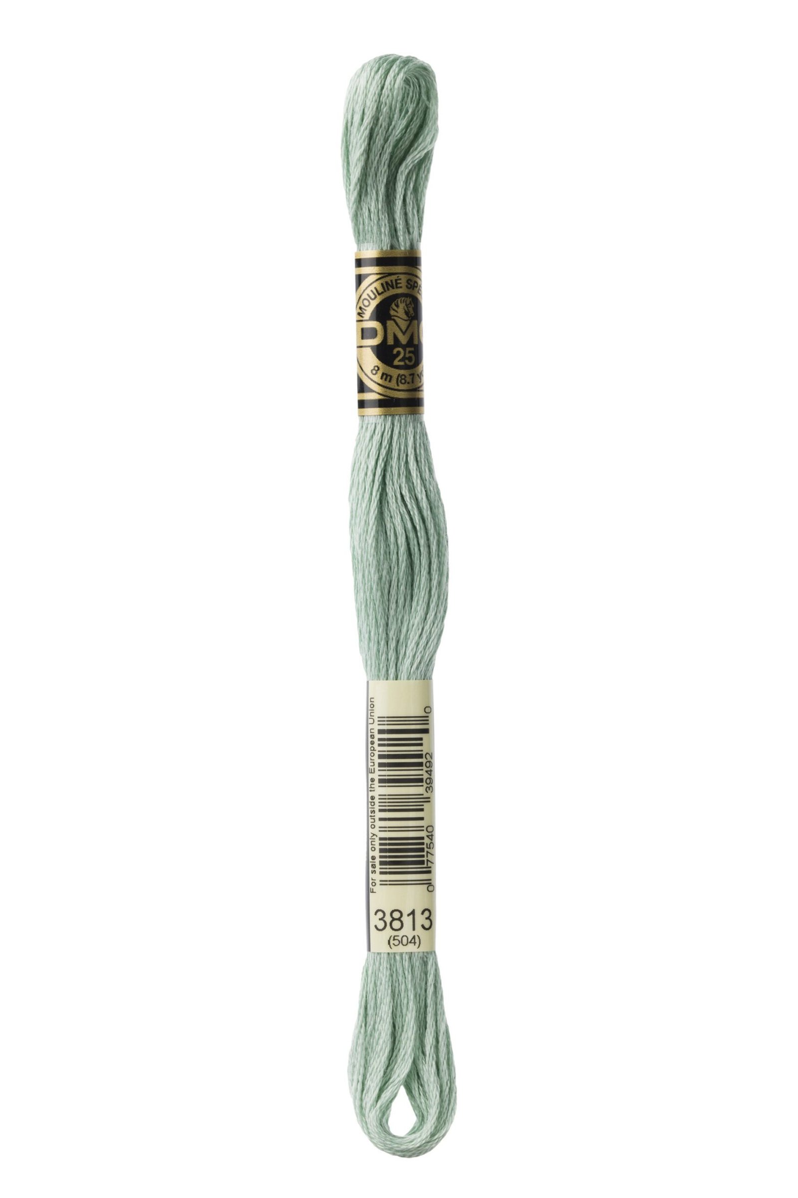 DMC Mouliné Special Cotton Thread 3813 Light Blue Green