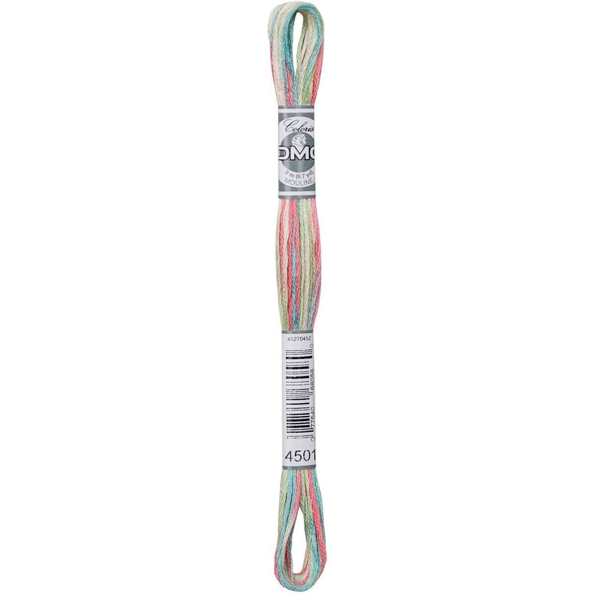 DMC Mouliné Coloris Cotton Thread 4501