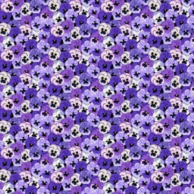 Makower Summer Days Pansies 2552/L