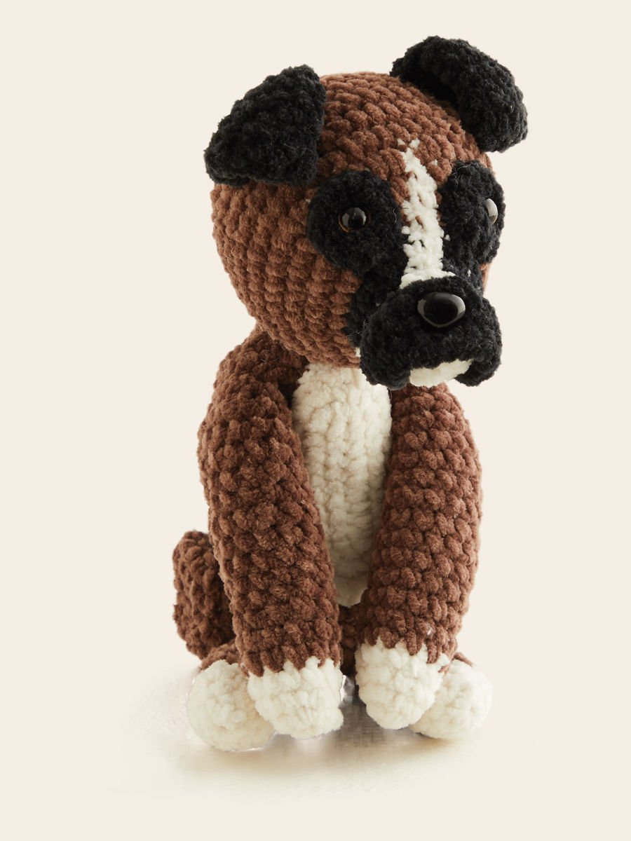Boxer01