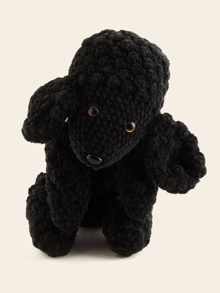 Poodle01