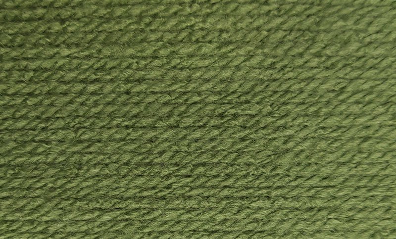 Wendy Supreme Chunky 100g 50 sk60