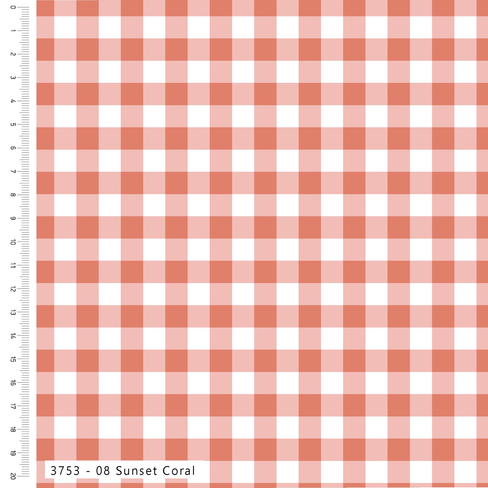 3753-08-Sunset-Coral-Web-Image