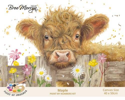Bree Merryn Paint By Numbers 40cm x 50cm – Maple