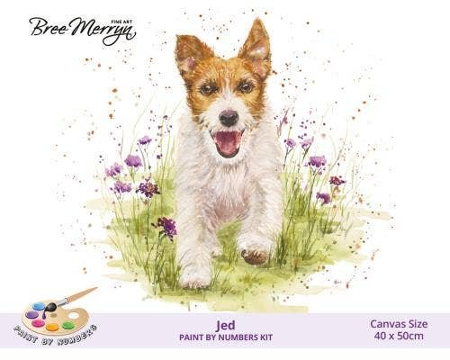 Bree Merryn Paint By Numbers 40cm x 50cm – Jed 6 Bree Merryn Paint By Numbers 40cm x 50cm – Jed