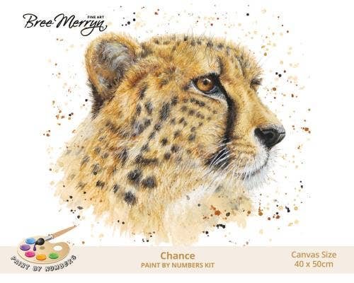 Bree Merryn Paint By Numbers 40cm x 50cm – Chance