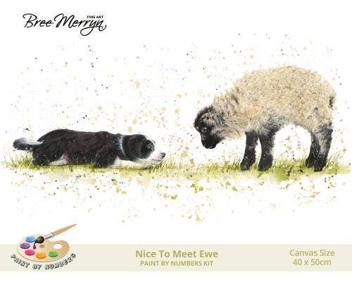 Bree Merryn Paint By Numbers 40cm x 50cm – Nice To Meet Ewe